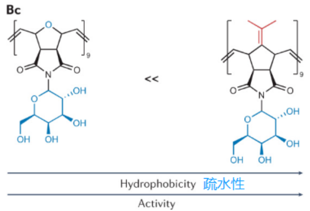 冰晶重结晶抑制剂2.png