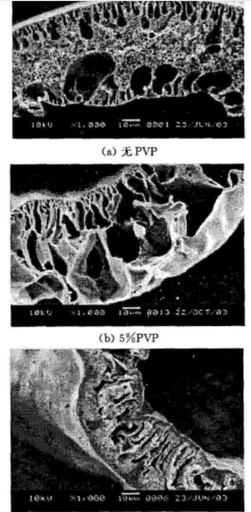 4不同PVP含量为膜截面的SEM照片.png
