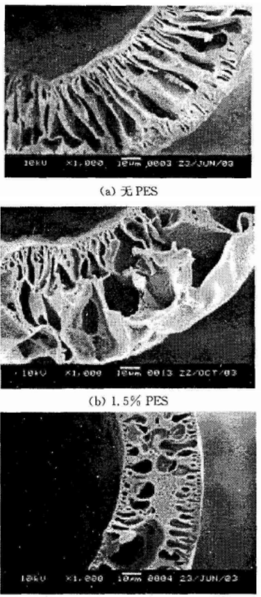 不同PES含量中空纤维膜截面的SEM照片.png
