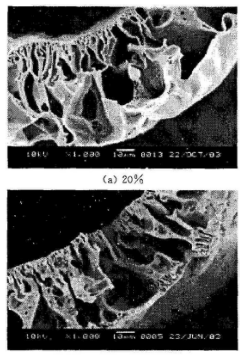 不同纺丝液质量分数膜截面的SEM照片.png