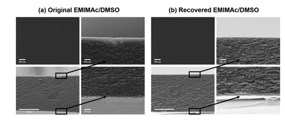 DMSO制备的纤维素膜表面和截面形态.png