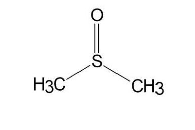 二甲基亚胺的化学结构.png