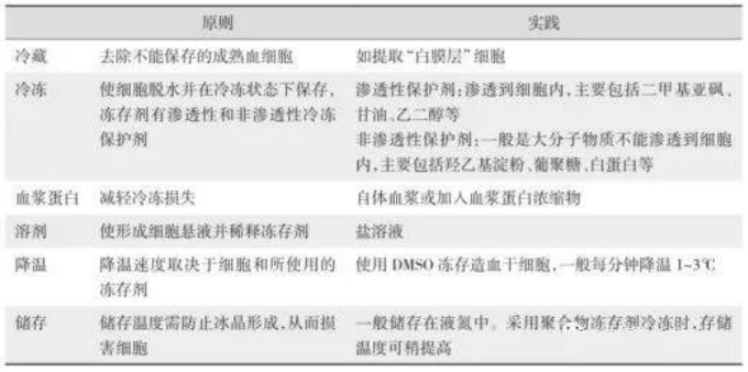 DMSO外周血干细胞的冻存