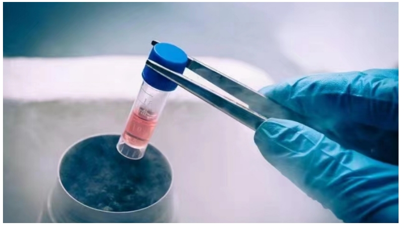万能溶剂DMSO的作用与科学保存